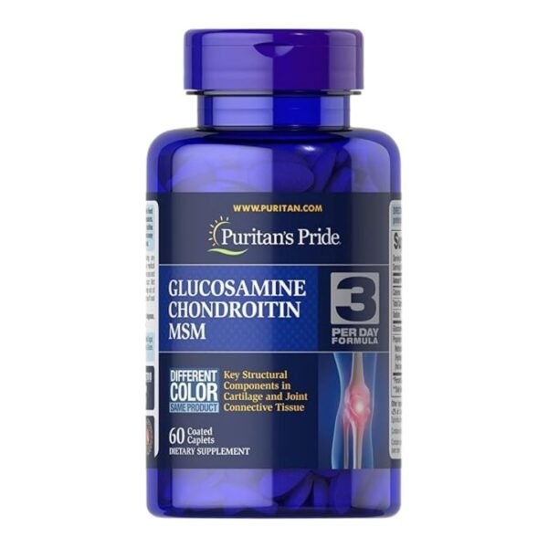 Puritan's Pride | Glucosamine Chondroitin MSM-3 Per Day Formula | 60 Capsules