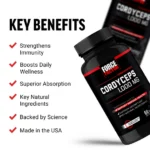Force Factor | Cordyceps 1000mg, Support Immune Health - 60 Capsules - Image 2