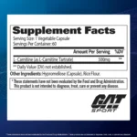 GAT Sport | L-Carnitine | Convert Fat Into Energy | 60 Veg Capsules - Image 2